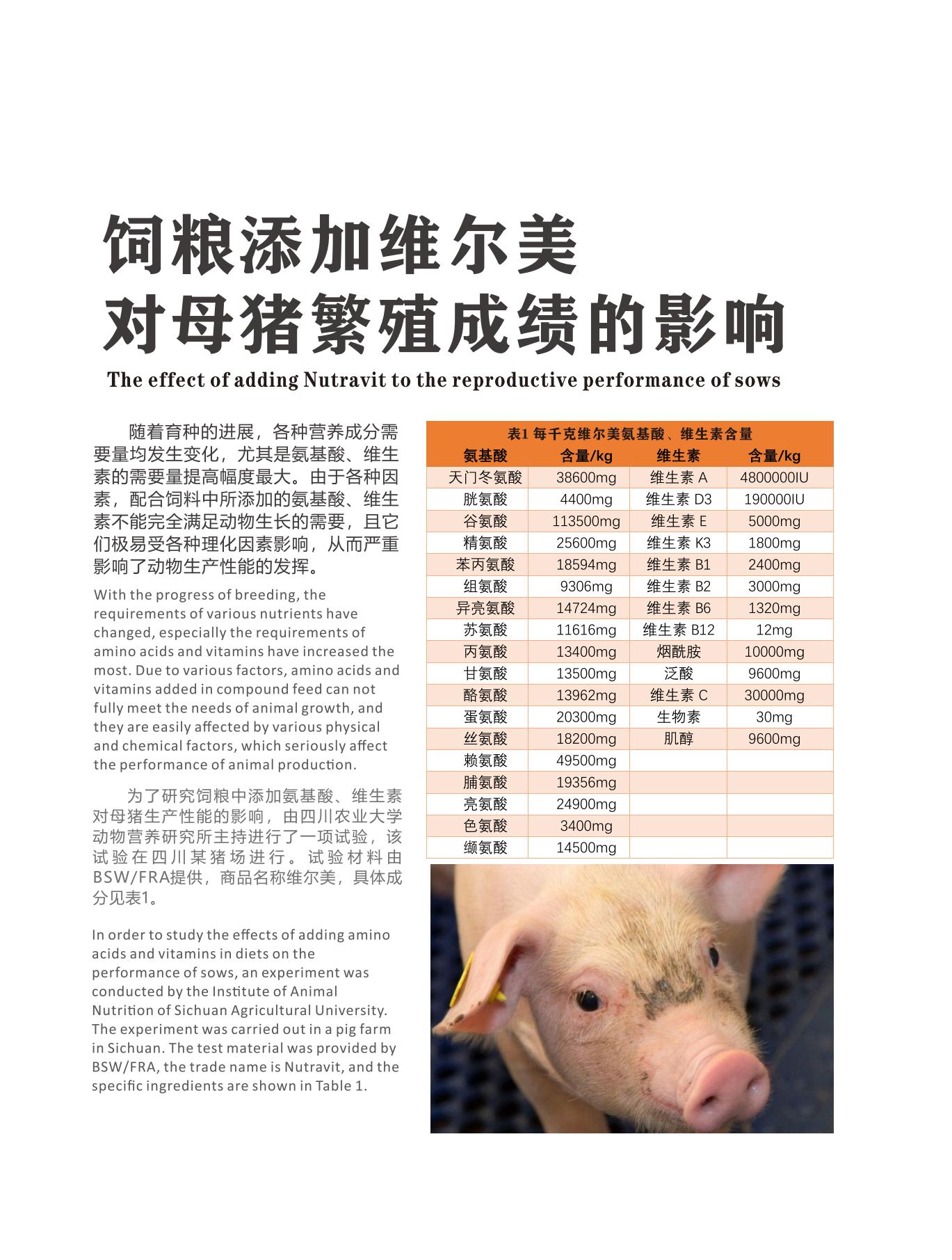 網站文章11.14_13