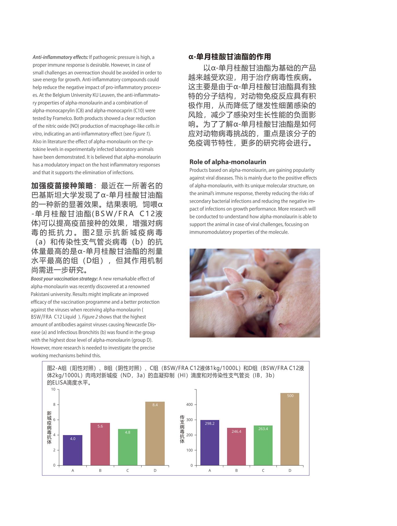 網(wǎng)站文章11.14_05